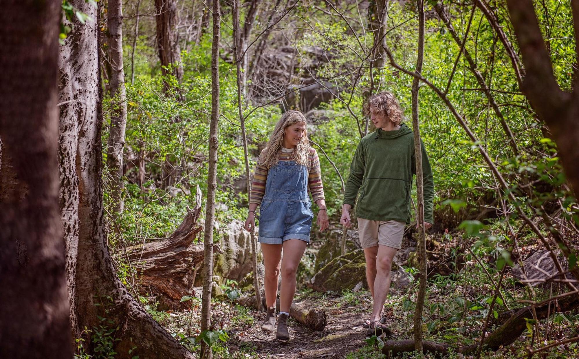 Meg Cabin Tiny Rustic Comfort On Lookout Mtn Τσαττανούγκα Εξωτερικό φωτογραφία
